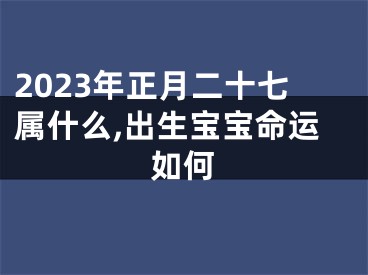 2023年正月二十七属什么,出生宝宝命运如何