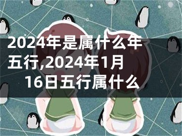 2024年是属什么年五行,2024年1月16日五行属什么