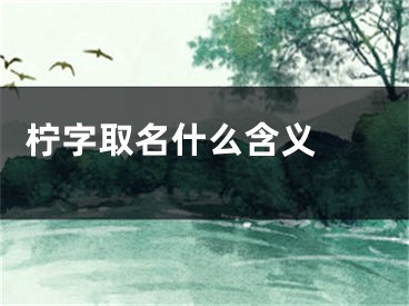  柠字取名什么含义 