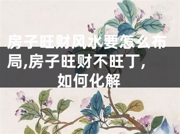 房子旺财风水要怎么布局,房子旺财不旺丁,如何化解