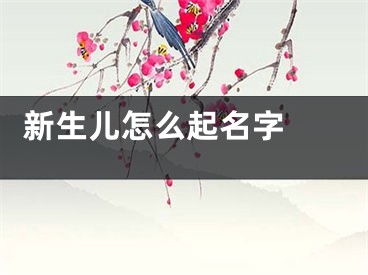  新生儿怎么起名字 