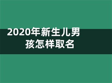  2020年新生儿男孩怎样取名 