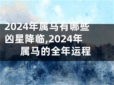 2024年属马有哪些凶星降临,2024年属马的全年运程