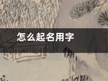  怎么起名用字 