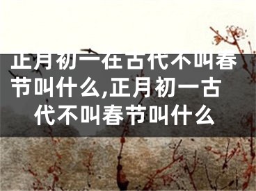 正月初一在古代不叫春节叫什么,正月初一古代不叫春节叫什么