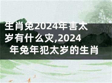 生肖兔2024年害太岁有什么灾,2024年兔年犯太岁的生肖