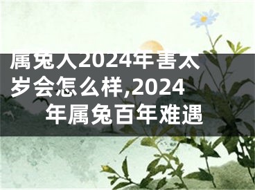 属兔人2024年害太岁会怎么样,2024年属兔百年难遇