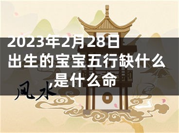 2023年2月28日出生的宝宝五行缺什么,是什么命