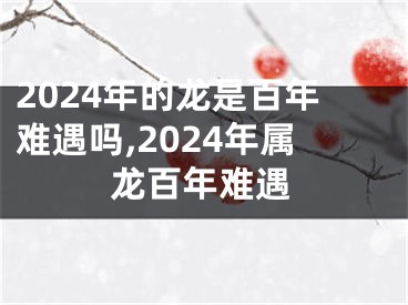 2024年的龙是百年难遇吗,2024年属龙百年难遇