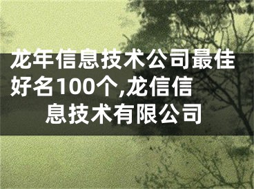 龙年信息技术公司最佳好名100个,龙信信息技术有限公司