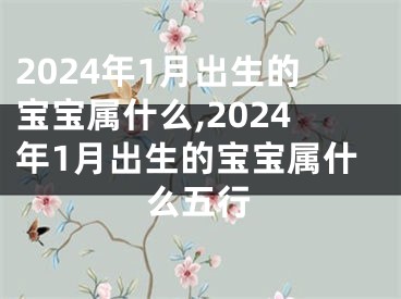 2024年1月出生的宝宝属什么,2024年1月出生的宝宝属什么五行