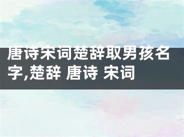 唐诗宋词楚辞取男孩名字,楚辞 唐诗 宋词