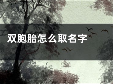  双胞胎怎么取名字 