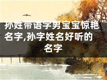 孙姓带语字男宝宝惊艳名字,孙字姓名好听的名字