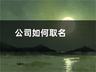  公司如何取名 