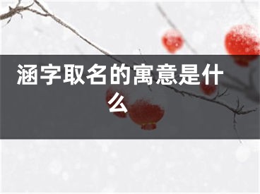  涵字取名的寓意是什么 