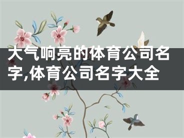 大气响亮的体育公司名字,体育公司名字大全