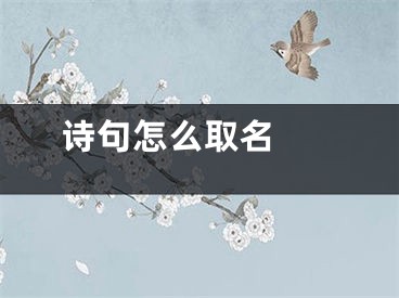  诗句怎么取名 