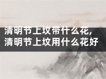 清明节上坟带什么花,清明节上坟用什么花好