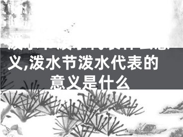 泼水节泼水代表什么意义,泼水节泼水代表的意义是什么