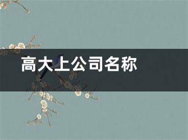  高大上公司名称 