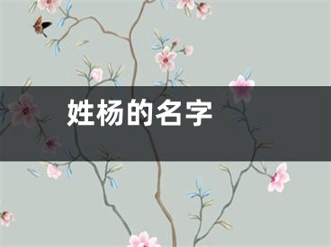  姓杨的名字 