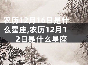 农历12月16日是什么星座,农历12月12日是什么星座