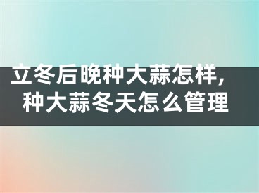 立冬后晚种大蒜怎样,种大蒜冬天怎么管理