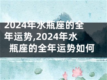 2024年水瓶座的全年运势,2024年水瓶座的全年运势如何