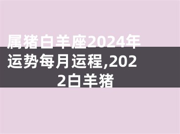 属猪白羊座2024年运势每月运程,2022白羊猪