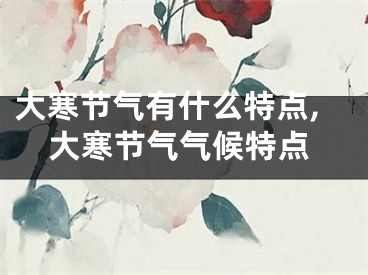 大寒节气有什么特点,大寒节气气候特点