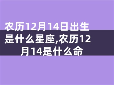 农历12月14日出生是什么星座,农历12月14是什么命