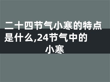 二十四节气小寒的特点是什么,24节气中的小寒