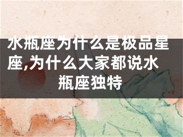 水瓶座为什么是极品星座,为什么大家都说水瓶座独特