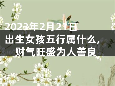 2023年2月21日出生女孩五行属什么,财气旺盛为人善良