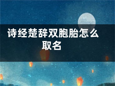  诗经楚辞双胞胎怎么取名 