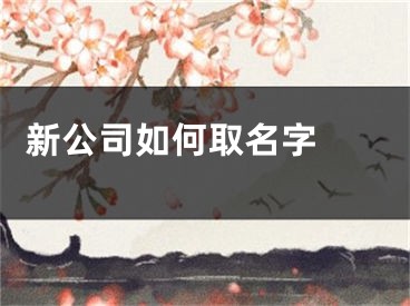  新公司如何取名字 