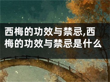 西梅的功效与禁忌,西梅的功效与禁忌是什么