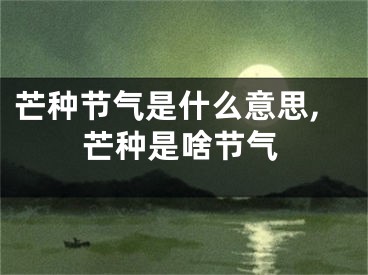 芒种节气是什么意思,芒种是啥节气