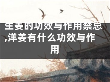 生姜的功效与作用禁忌,洋姜有什么功效与作用