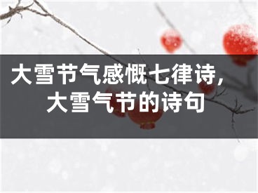 大雪节气感慨七律诗,大雪气节的诗句