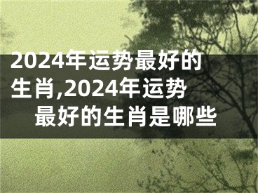 2024年运势最好的生肖,2024年运势最好的生肖是哪些