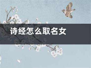  诗经怎么取名女 