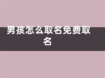  男孩怎么取名免费取名 