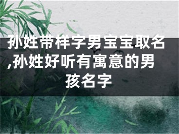 孙姓带样字男宝宝取名,孙姓好听有寓意的男孩名字