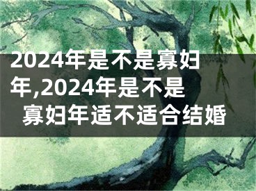 2024年是不是寡妇年,2024年是不是寡妇年适不适合结婚