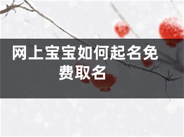  网上宝宝如何起名免费取名 