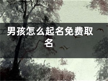  男孩怎么起名免费取名 