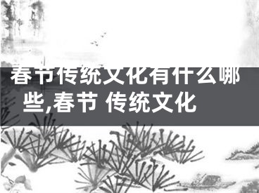 春节传统文化有什么哪些,春节 传统文化