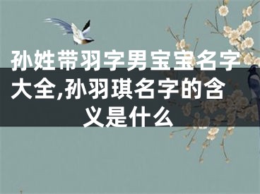 孙姓带羽字男宝宝名字大全,孙羽琪名字的含义是什么